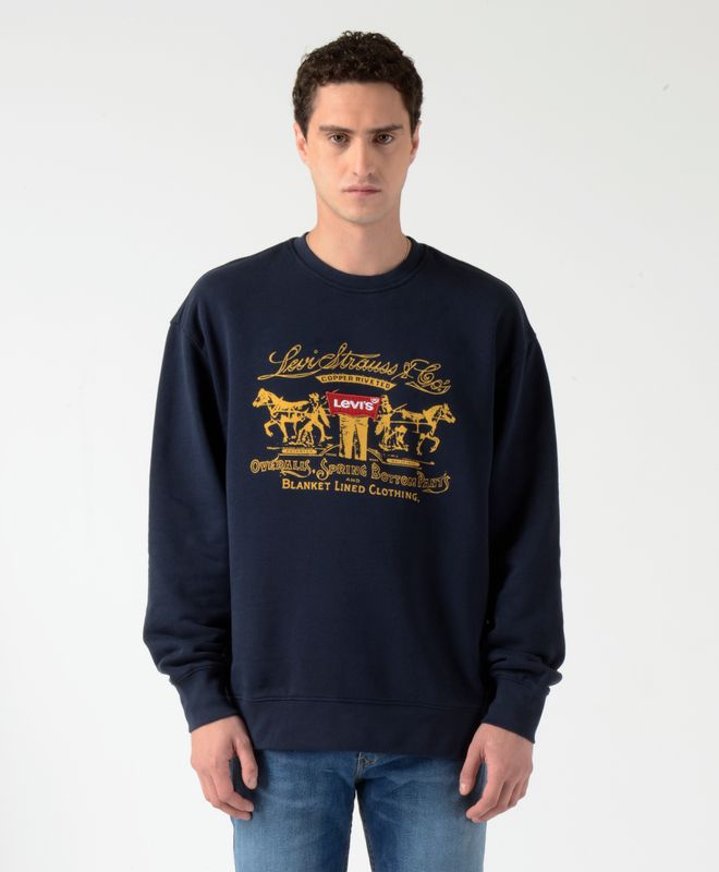 Polerón Hombre Levi's Relaxed Graphic Crew