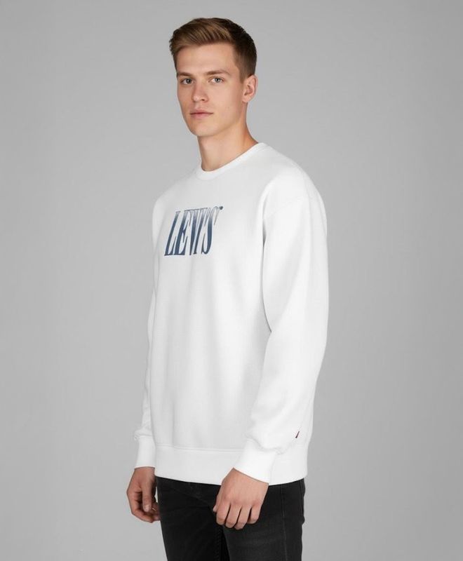 Polerón Hombre Levi's Relaxd Graphic Crew