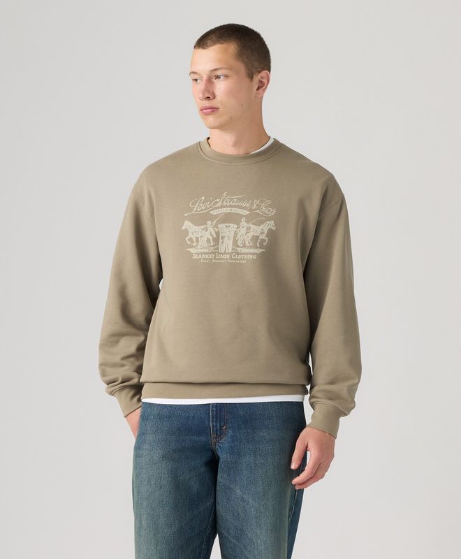 Polerón Hombre Levi's Relaxd Graphic Crew